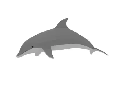 Low Poly Cartoon Dolphin Low-poly 3D model purchase