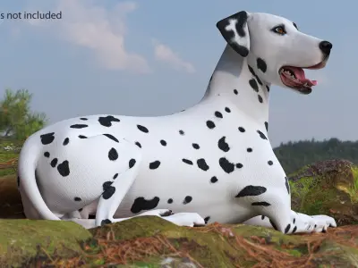 Lying Dalmatian Dog 3D model
