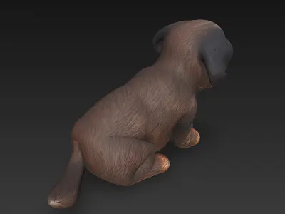 Dog Realistic 3D Model Basic - Low Poly Realistic Low-poly 3D model 4