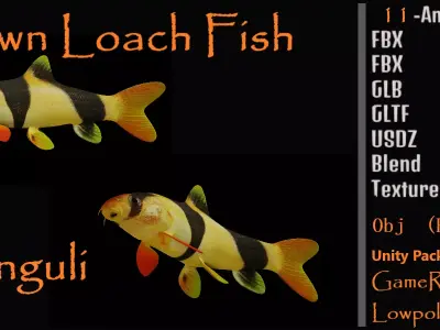 Clown Loach Fish Low-poly 3D model