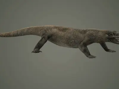 reptile lizard nature dinosaur animal wildlife animals 3D model