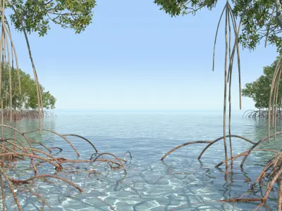 Mangroves 2.0 Animated 3D model