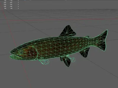 Trout Low-poly 3D model 4
