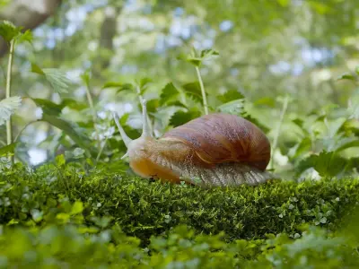 Snail Forest 3D Scene Low-poly 3D model