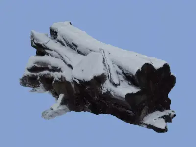 4K Snow Covered Cut Log Photoscan Low-poly 3D model