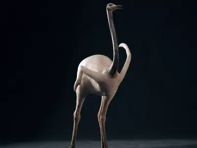 Realistic 3D model of Ostrich with RIG and texture pack 3D model
