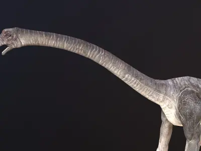 Brachiosaurus dinosaur Low-poly 3D model shop