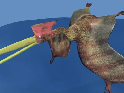 Hatzegopteryx  dinosaur 3D model