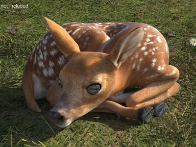  Resting White-Tailed Fawn Deer 