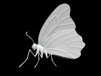 high poly butterfly 3D print model