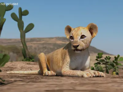 Lion Cub Lying Down 3D model