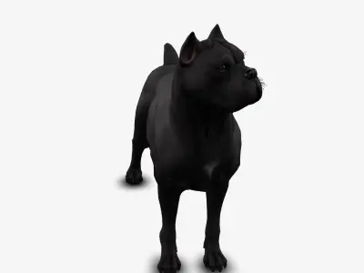 dog canne corso Low-poly 3D model