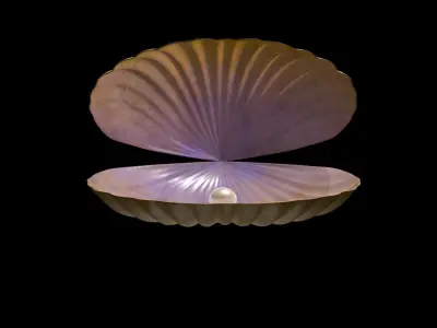 Oyster 3D Model shell 3D model
