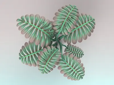 Fern plant 3D model purchase