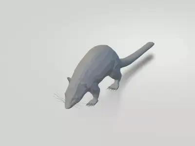 Coati rat Free low-poly 3D model