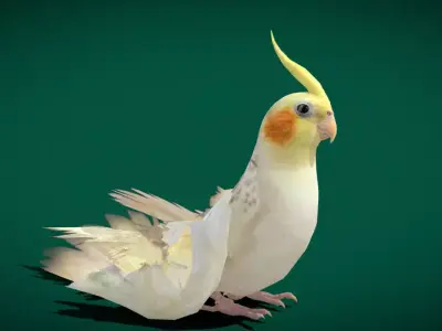 Cockatiel Parrot Bird Free low-poly 3D model