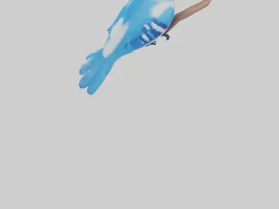 Blue Jay singing model Low-poly 3D model