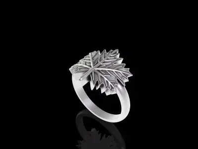 Leaves Ring 3D print model