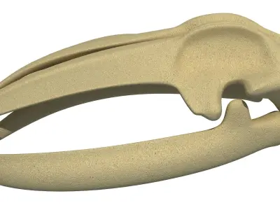 Detailed Whale Skull 3D model