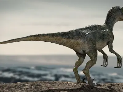 Velociraptor Animated Rigged 3D model Low-poly 3D model