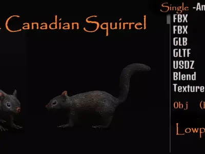 Black Canadian Squirrel Free low-poly 3D model