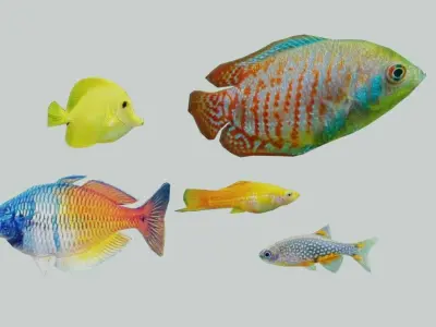 3D Fish model-Set of 5-Materials included Low-poly 3D model