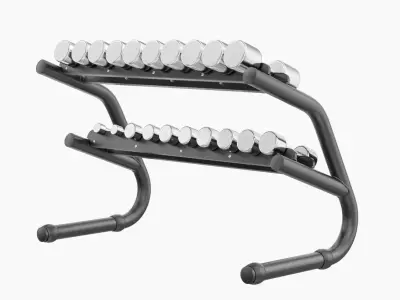 Technogym Chrome Dumbbells 3D model