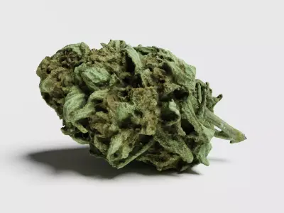 Cannabis Bud 07 3D model