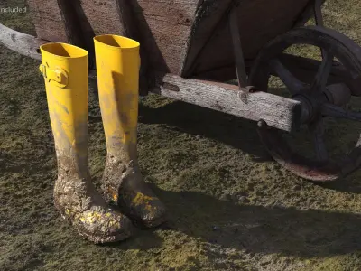 Dirt on Rubber Boots 3D model