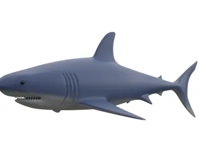 Shark 3D model buy
