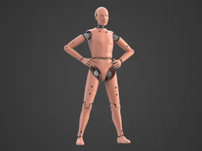 Crash Test Dummy 1 Rigged Biped 3D model