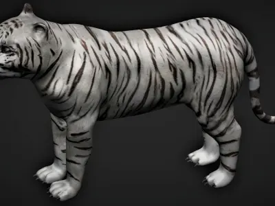 White Tiger 3D model