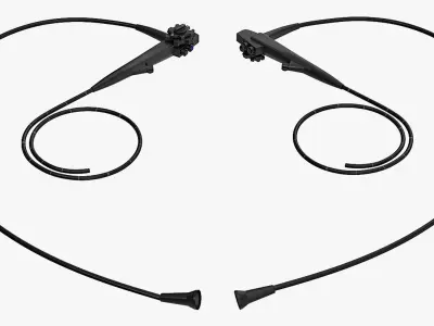 Endoscope 3D model