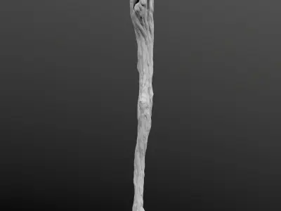 Magic Wand High Poly model 3D model