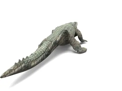 Crocodile 3D Models game ready low poly Low-poly 3D model