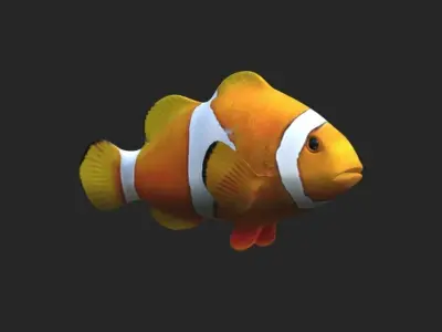 Smooth untextured Clown Fish 3D model