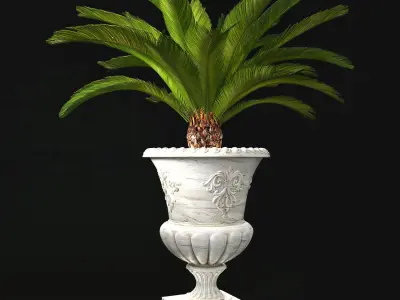 Plant Collection 05 3D model