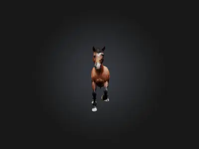 Realistic Horse Model Low-poly 3D model