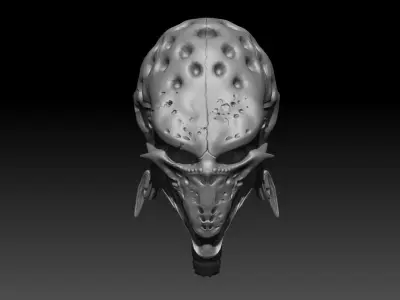 Snail skull 3D model
