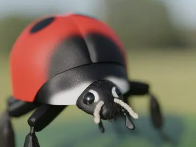 Ladybug Free 3D model