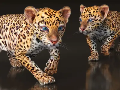 Leopard Cub Sneaking Pose 3D model