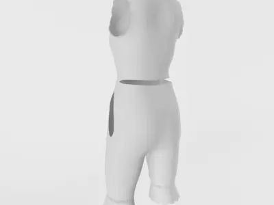 1890s Womens Undergarment Low-poly 3D model