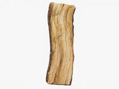 Scanned Tree Wood 01 3D model