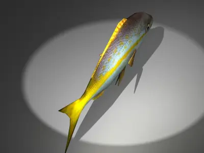 Yellowtail Snapper Low-poly 3D model