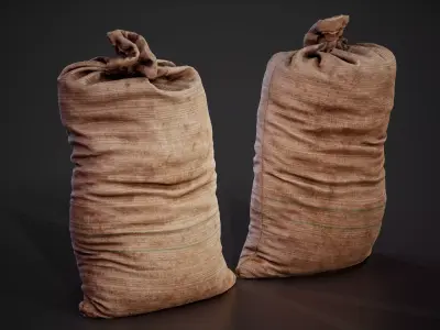 Realistic old burlap bag 03 photo scan Low-poly 3D model