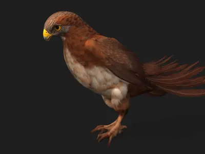 Kestrel B1 3D model