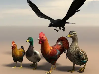 Birds Pack Low-poly 3D model