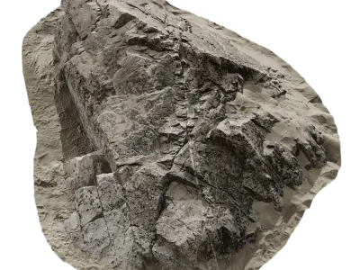  Large Layered Beach Rock Model  purchase