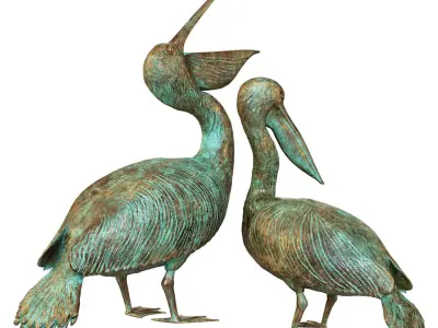 Pelicans 3D model