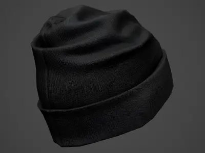 Winter Hat 3D model